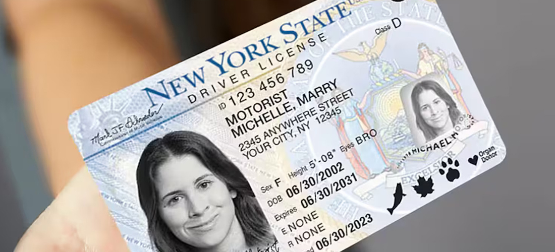 New York Driver's Licenses